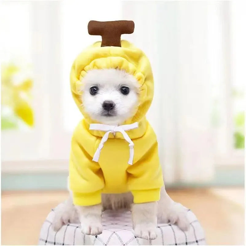 Cute Fruit Hoodie Pet Costume