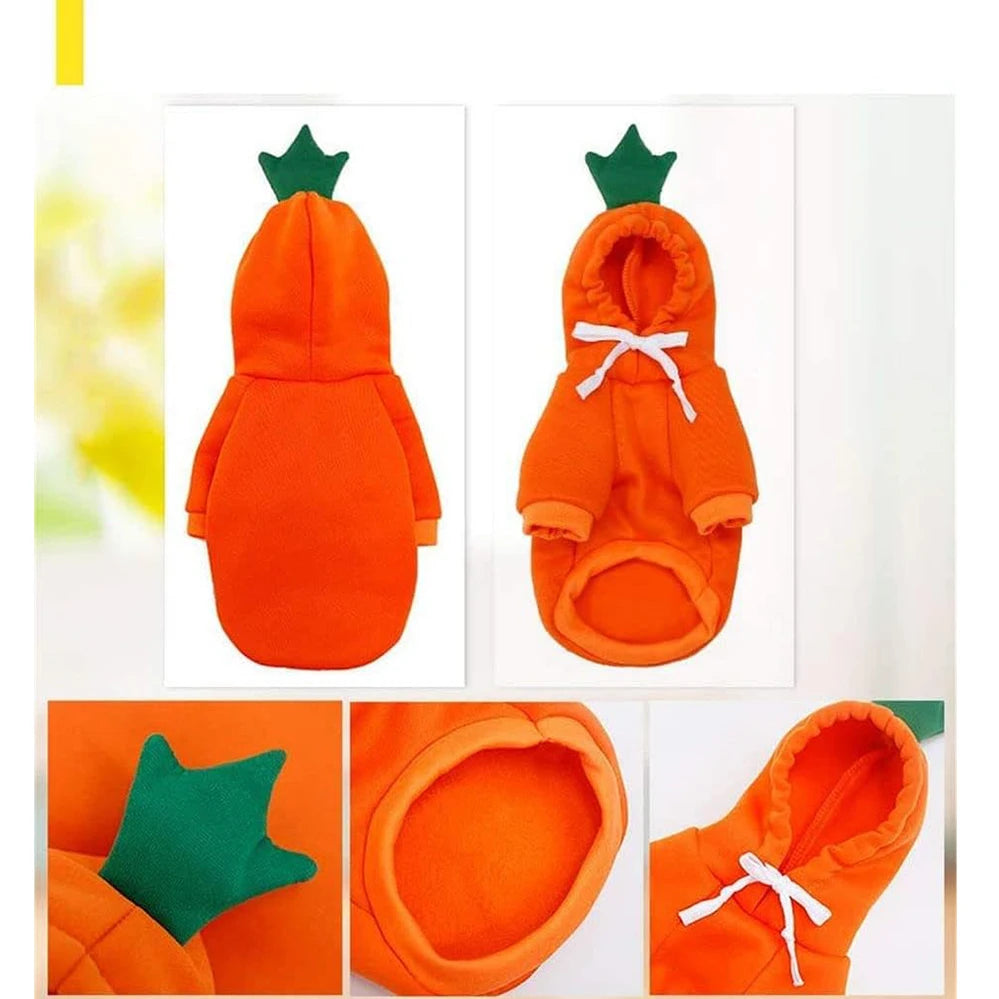 Cute Fruit Hoodie Pet Costume