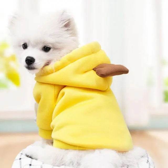 Cute Fruit Hoodie Pet Costume