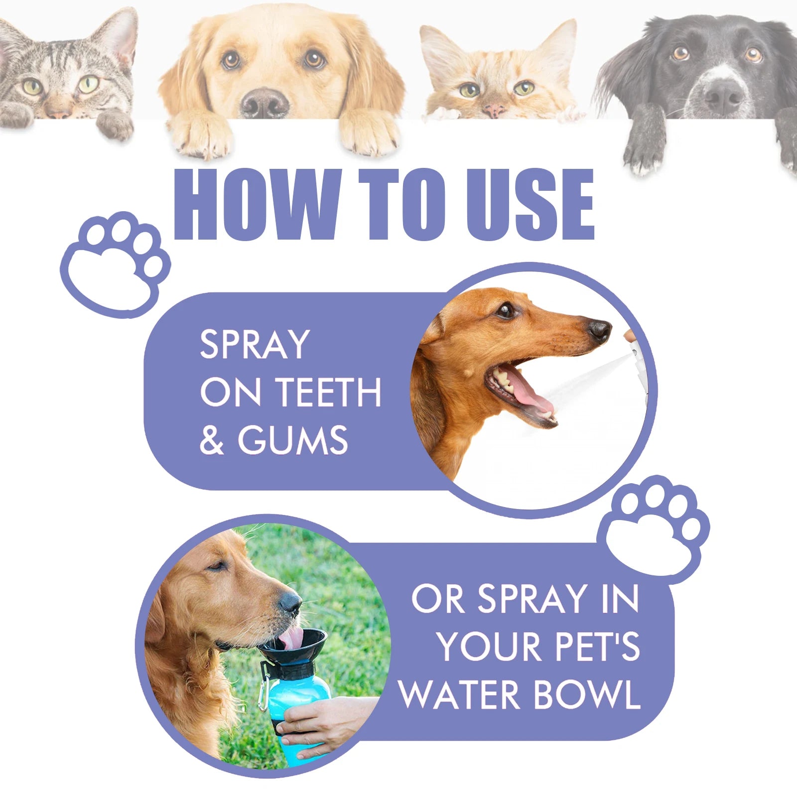 Pet Dental Spray for Dogs & Cats – Fresh Breath & Tartar Care