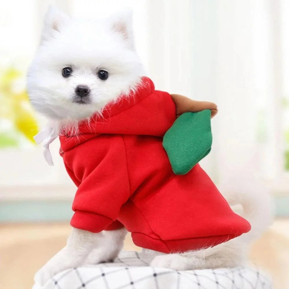Cute Fruit Hoodie Pet Costume