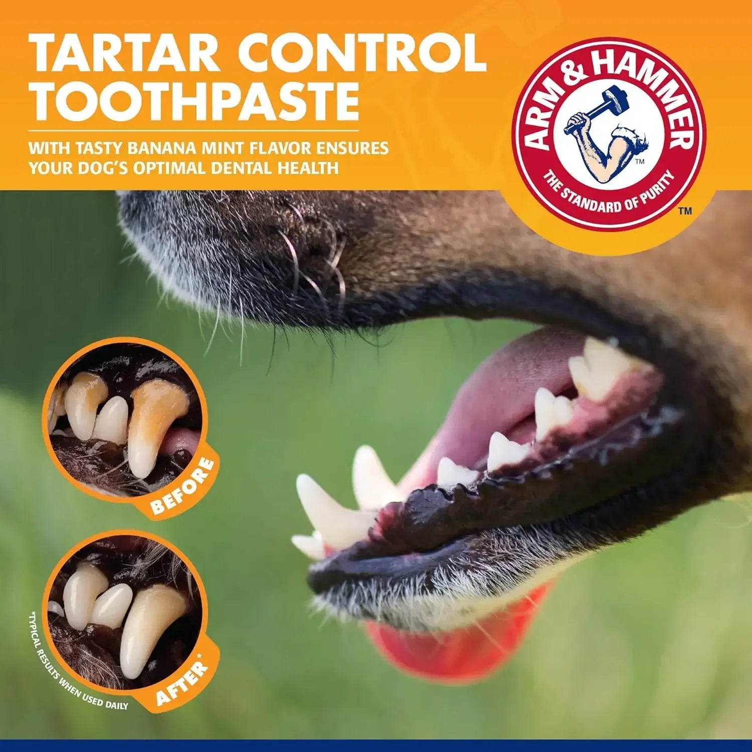 Pet Toothbrush and Toothpaste Kit