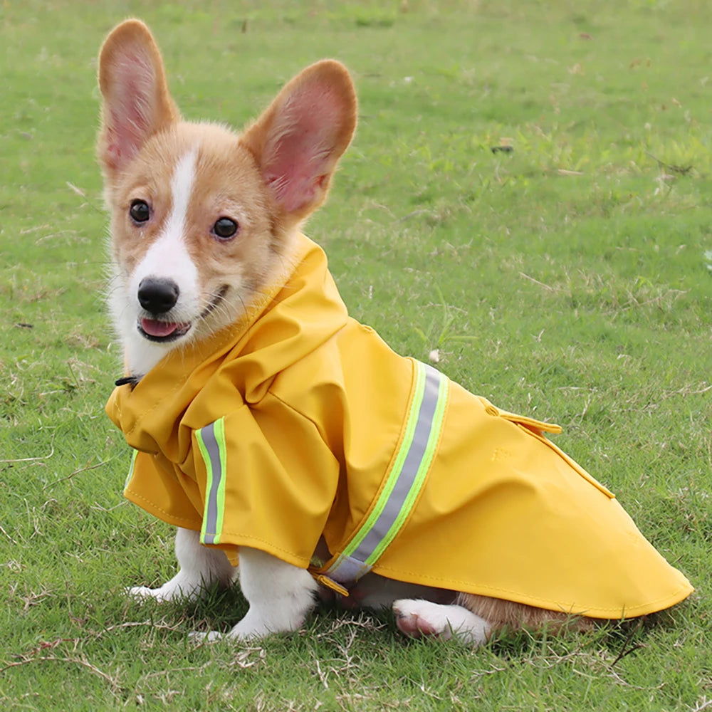Large Dog Raincoat – Waterproof Hooded Corgi-Style Jacket