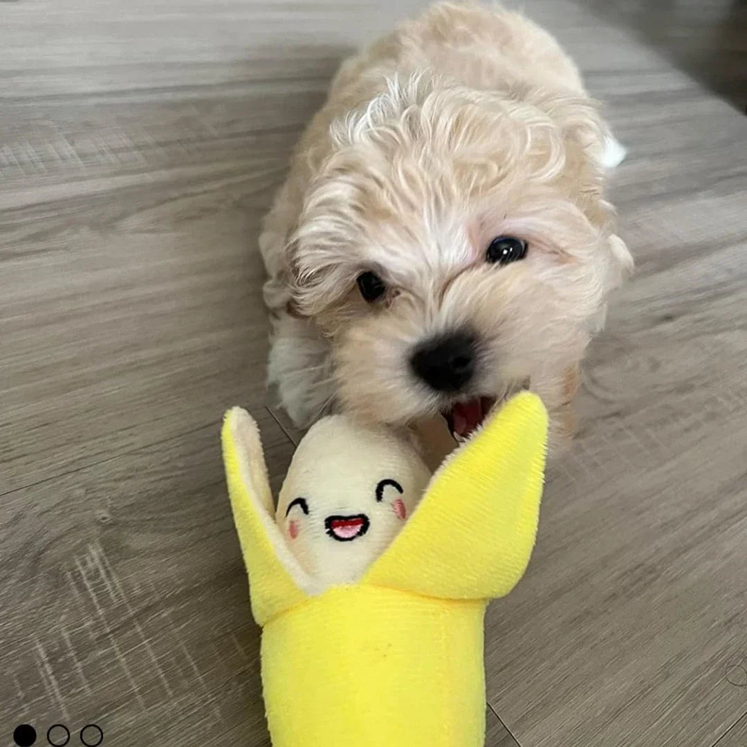 Plush Puppy Squeaky Toy Set