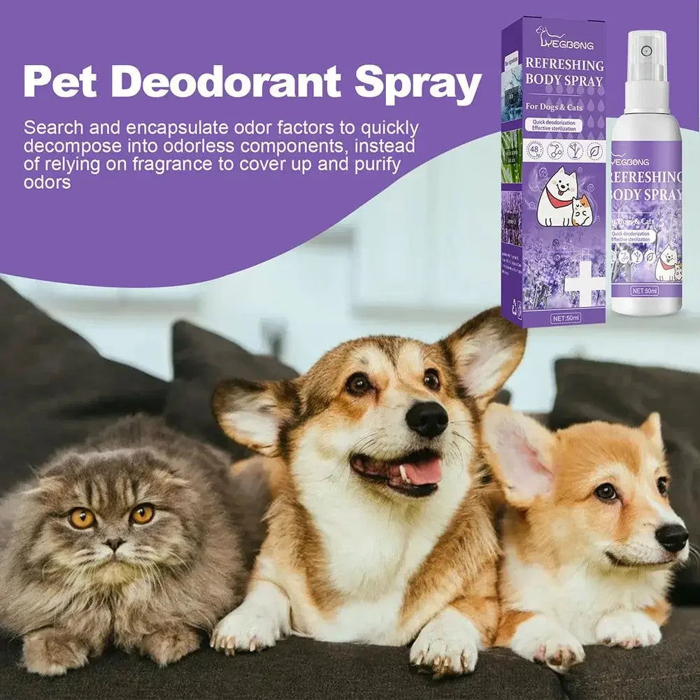 Lavender Dog Deodorizing Spray – Long-Lasting Pet Odor Remover