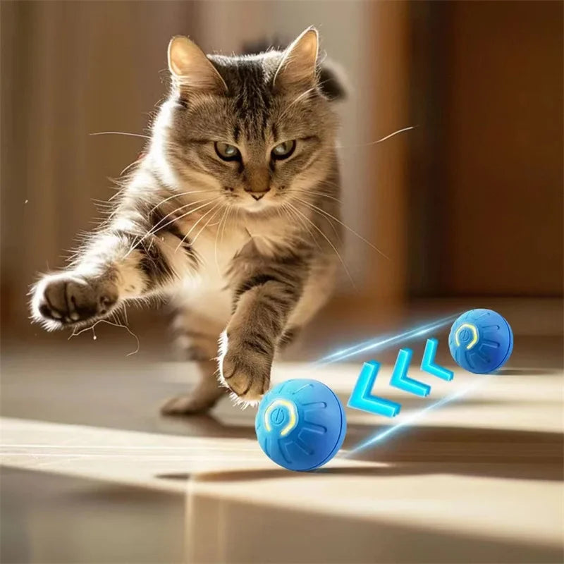 Smart Interactive Dog & Cat Toy Ball – USB Automatic Bouncing Ball