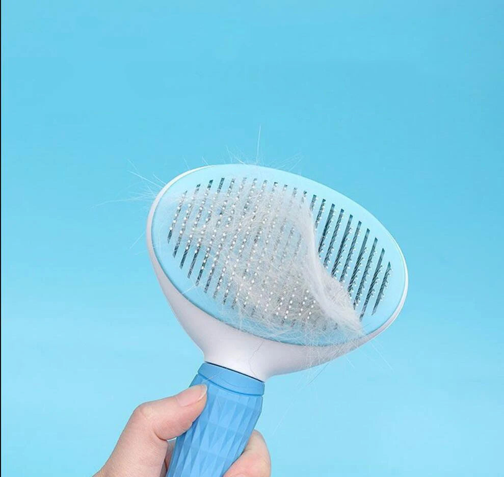 Pet Hair Brush & Stainless Steel Comb – Grooming Tool for Cats & Dogs