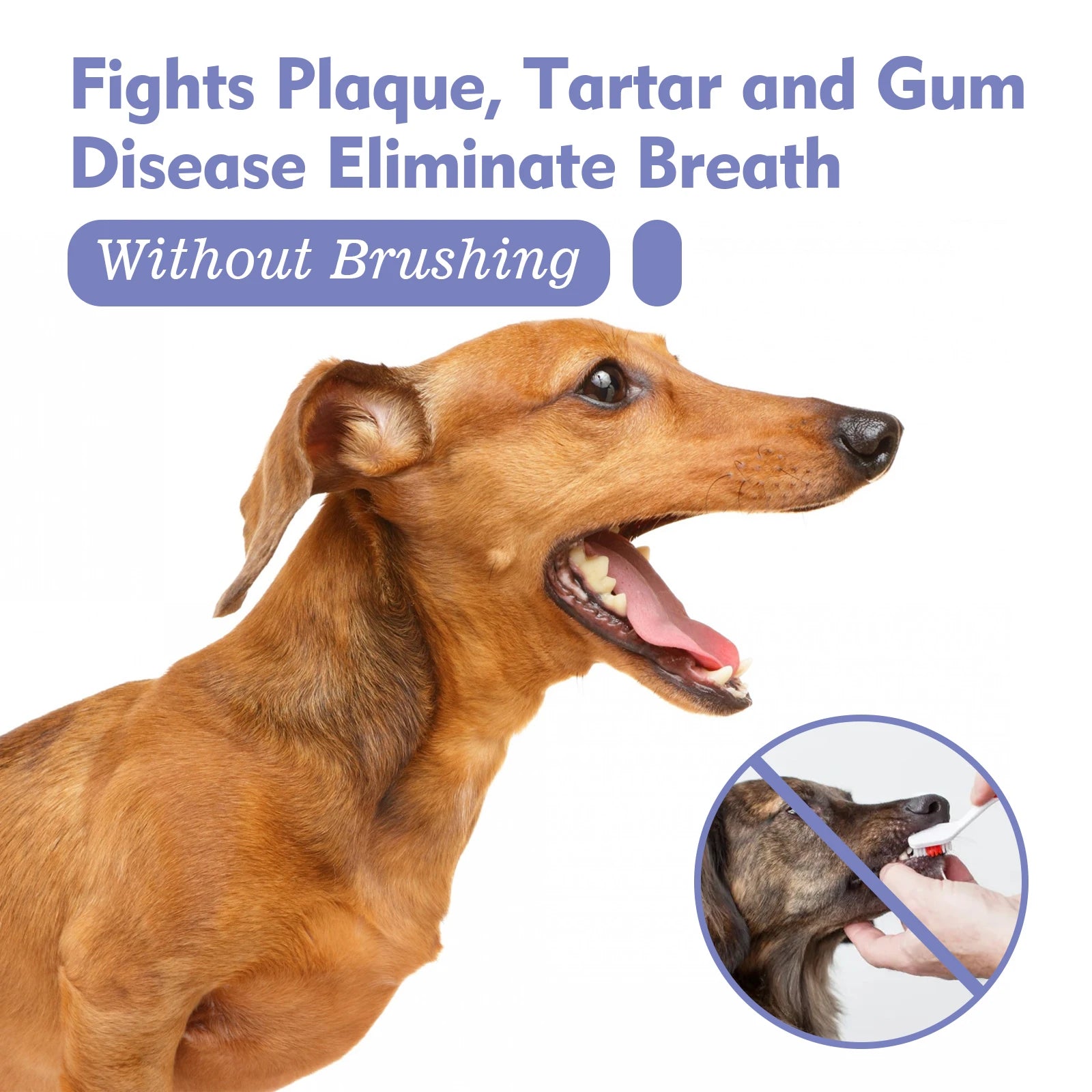 Pet Dental Spray for Dogs & Cats – Fresh Breath & Tartar Care