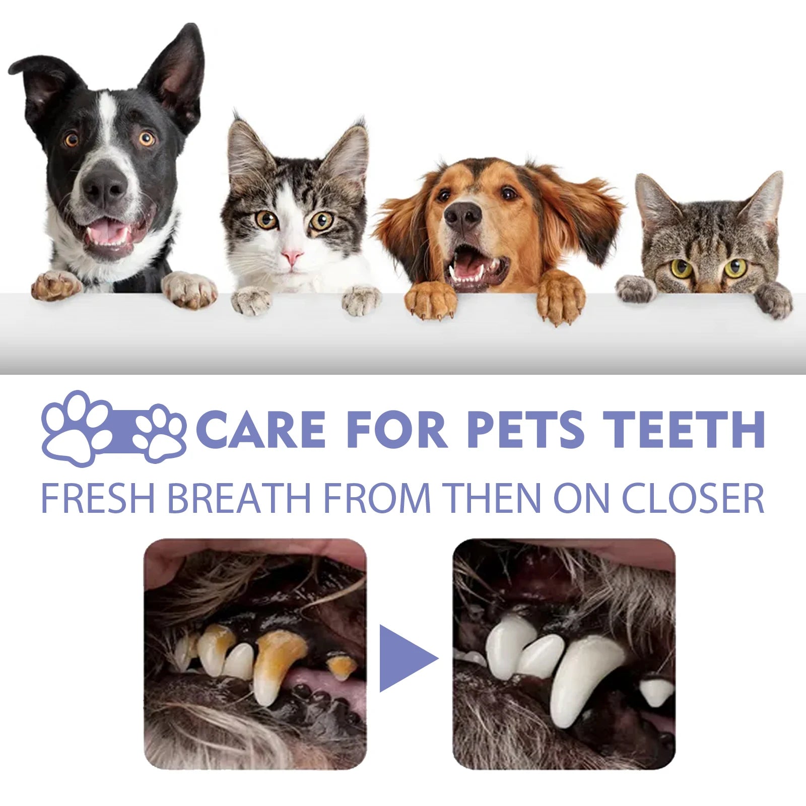 Pet Dental Spray for Dogs & Cats – Fresh Breath & Tartar Care