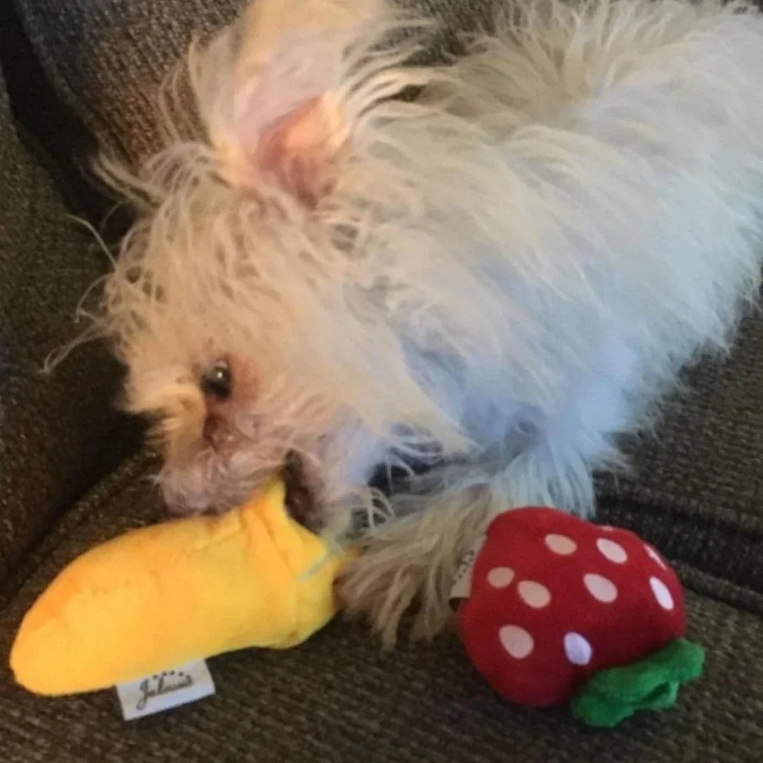 Plush Puppy Squeaky Toy Set