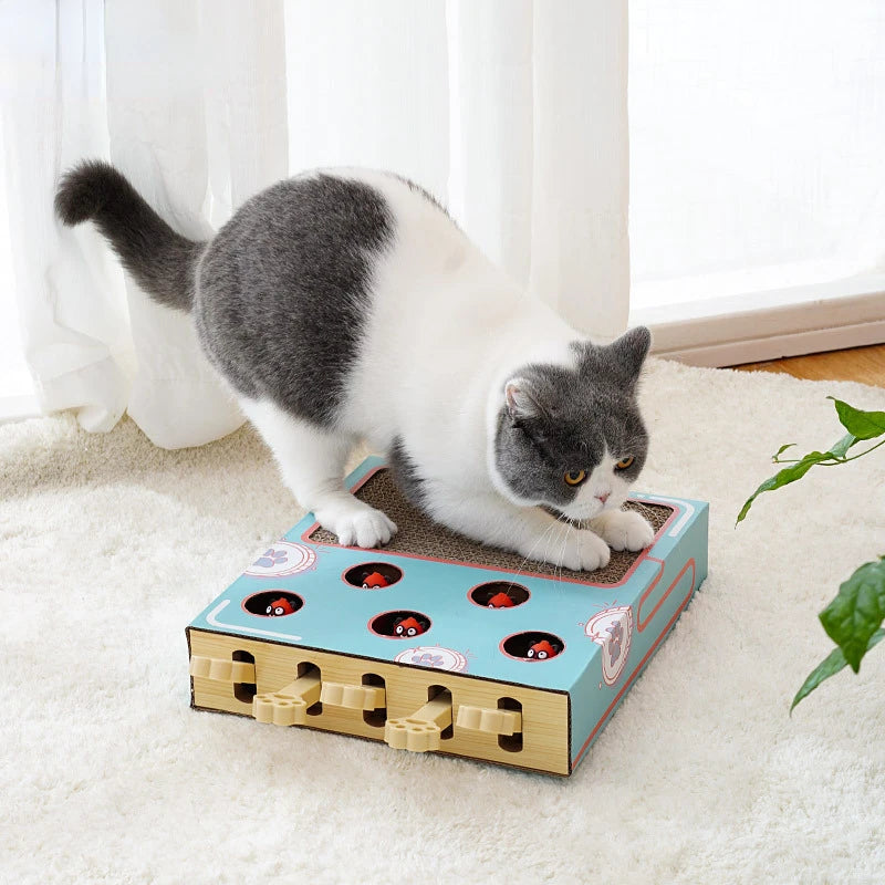 Whack-a-Mole Cat Scratching & Play Board – Interactive Multifunctional Toy