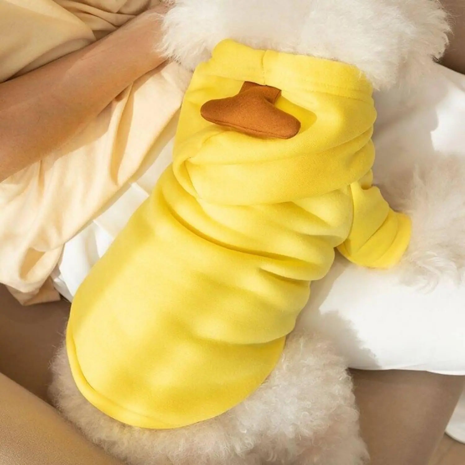 Cute Fruit Hoodie Pet Costume