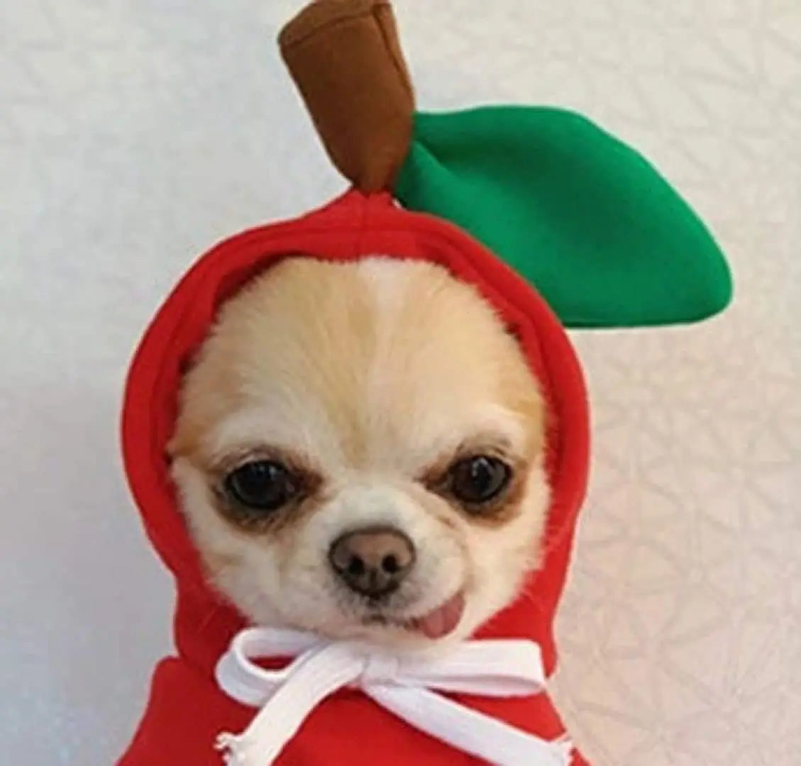Cute Fruit Hoodie Pet Costume
