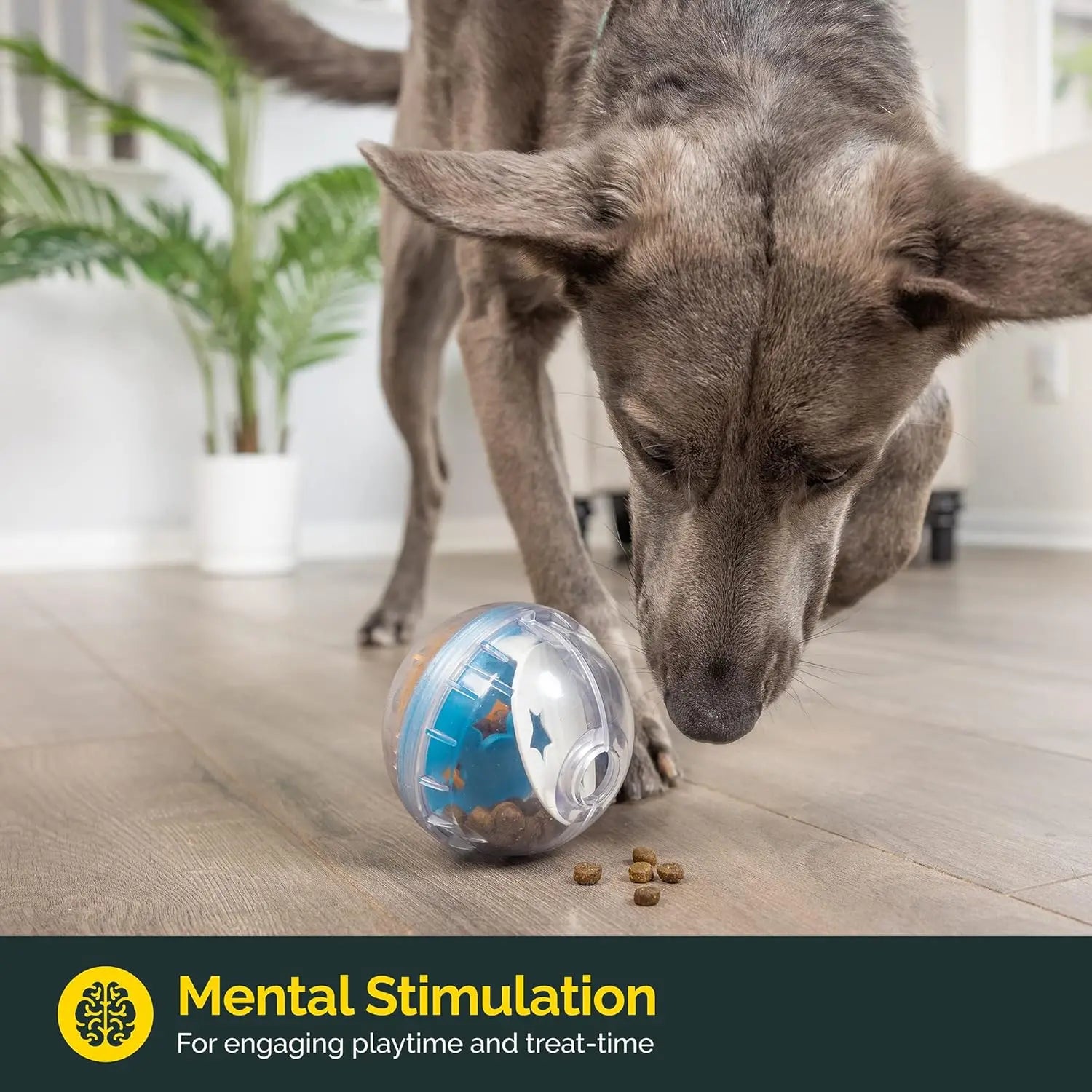 Interactive IQ Treat Ball Feeder