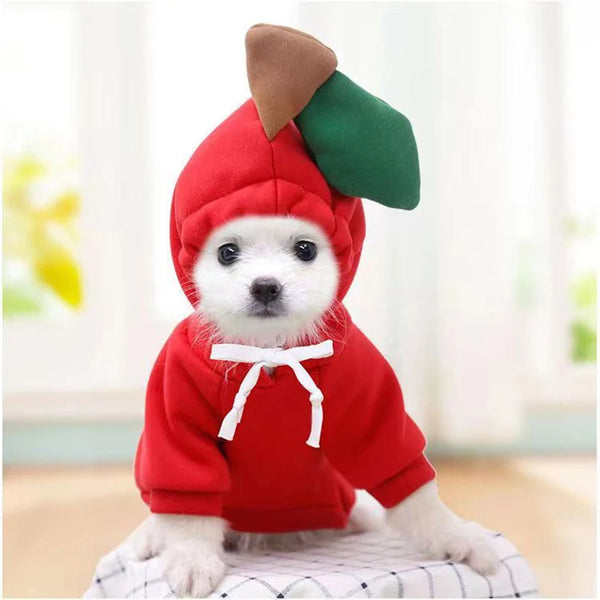 Cute Fruit Hoodie Pet Costume
