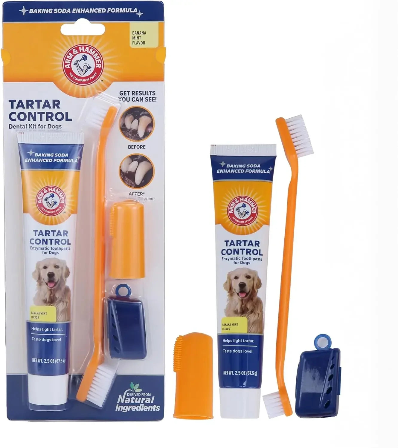 Pet Toothbrush and Toothpaste Kit