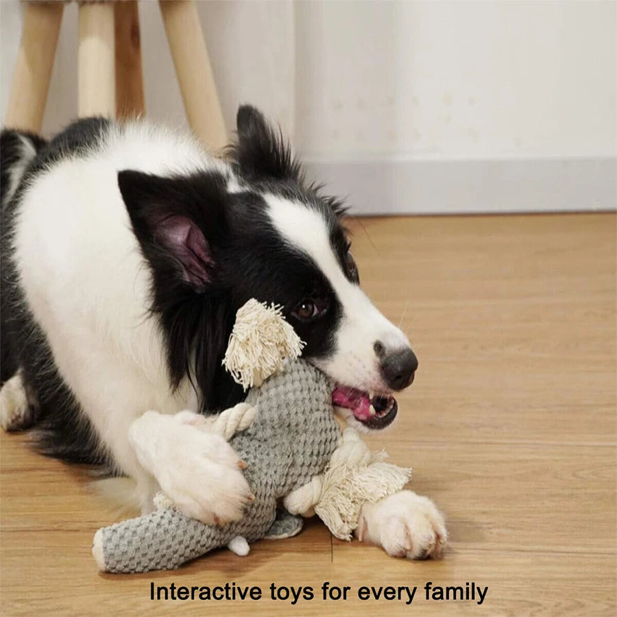 Squeaky Plush Dog Toy Toy For Small & Medium Dogs