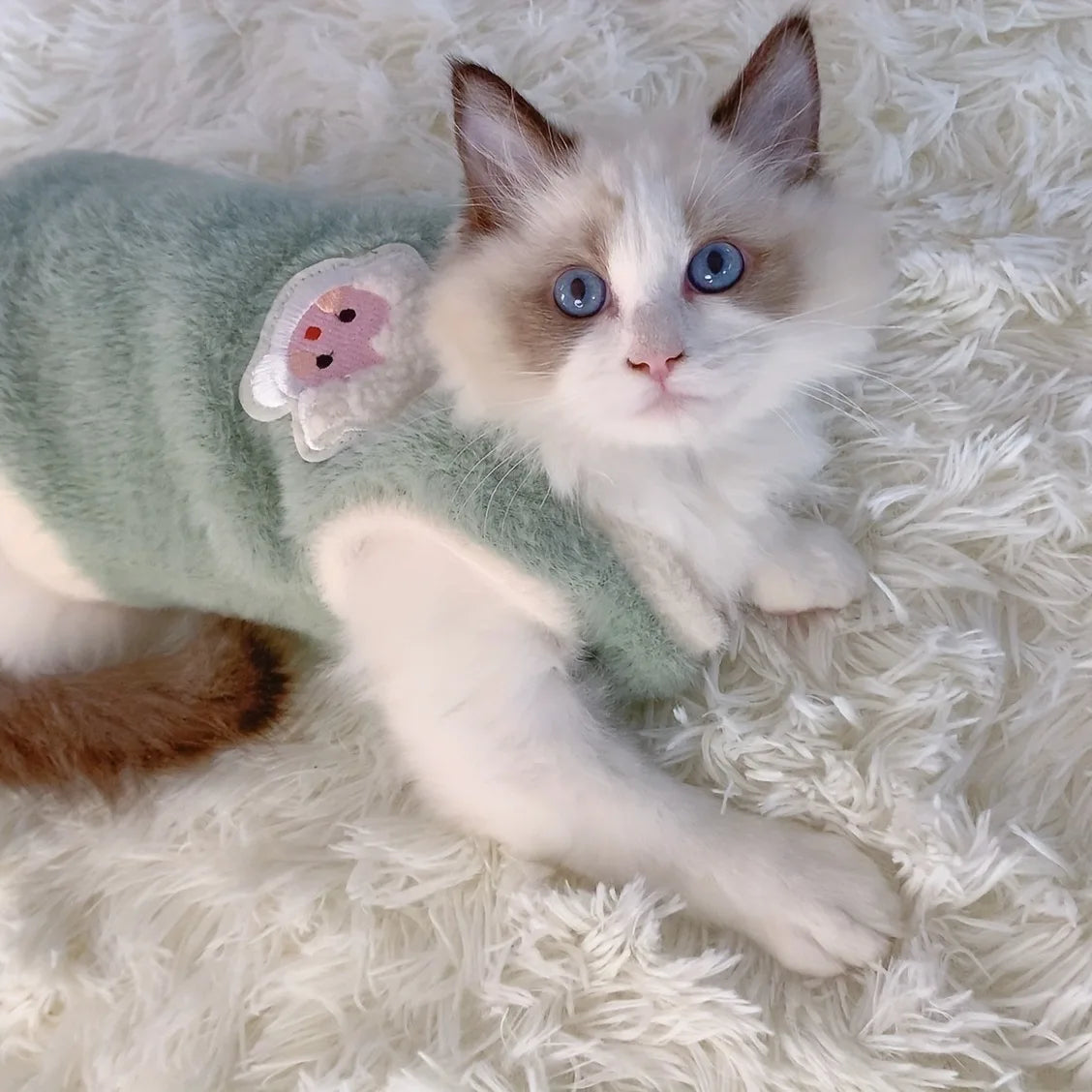 Warm Winter Clothes – Kitten & Small Pet Sweater Vests