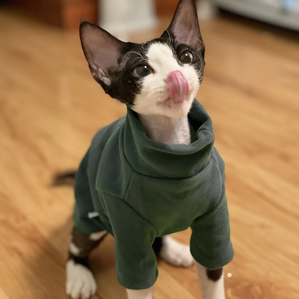Sphynx Cat & Small Dog Clothes – Soft Cotton Fall/Winter Outfit