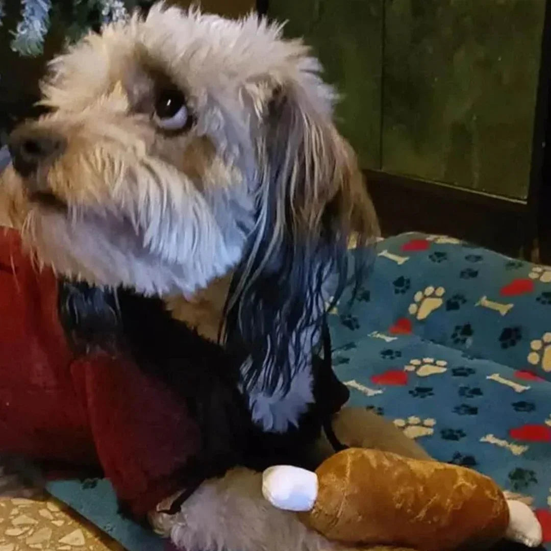 Plush Puppy Squeaky Toy Set