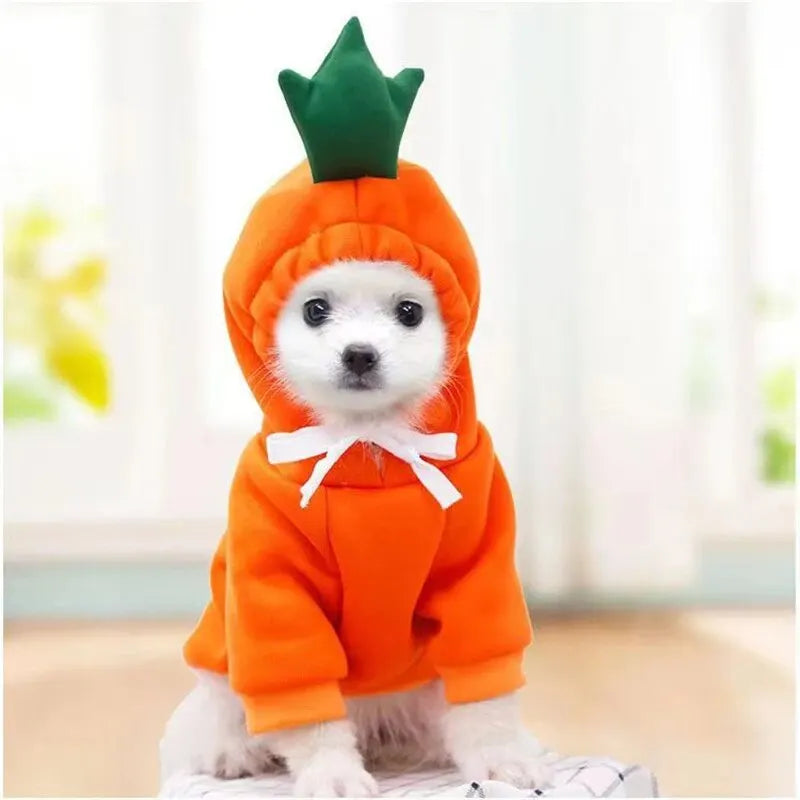 Cute Fruit Hoodie Pet Costume