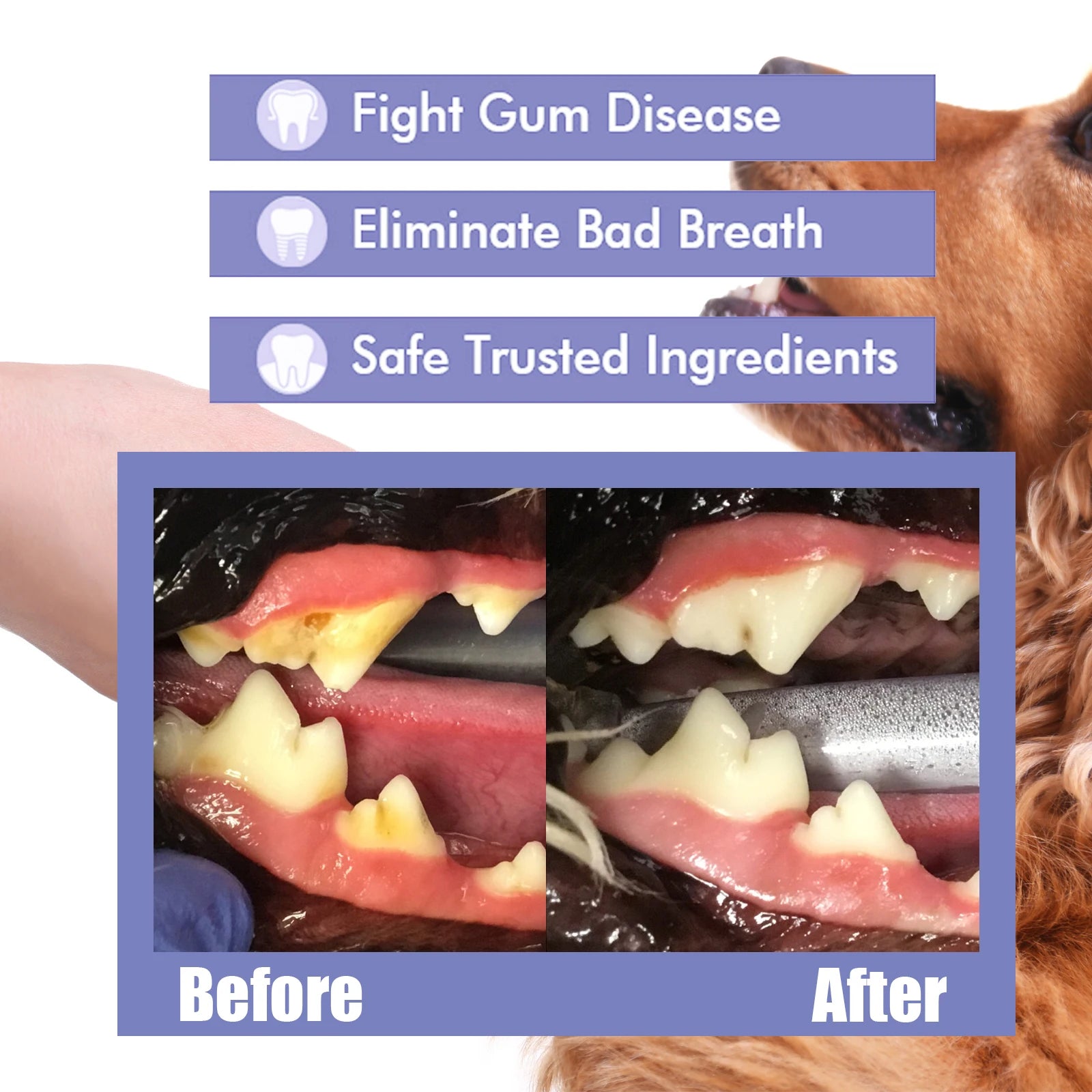 Pet Dental Spray for Dogs & Cats – Fresh Breath & Tartar Care