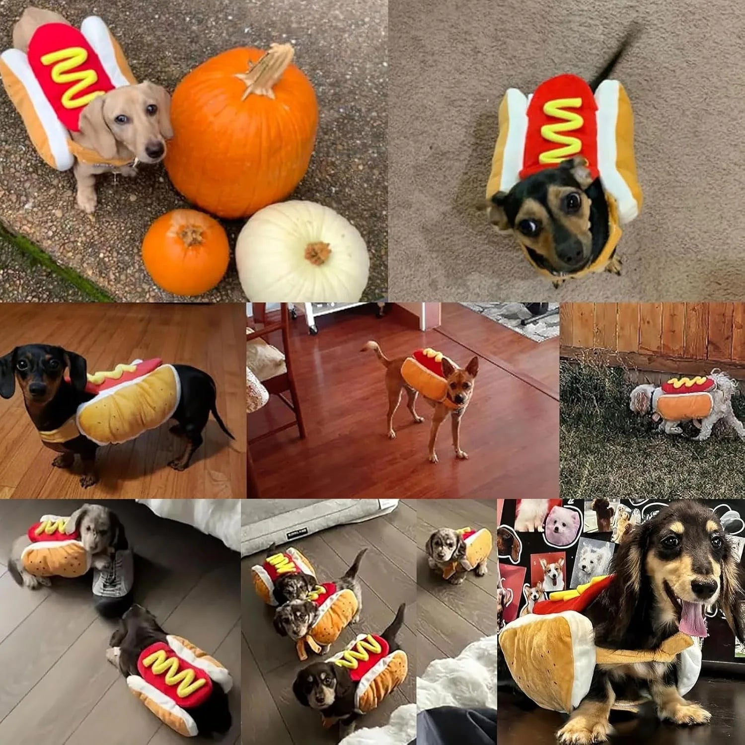 Funny Hot Dog Halloween Costume – Pet Outfit for Dogs & Cats