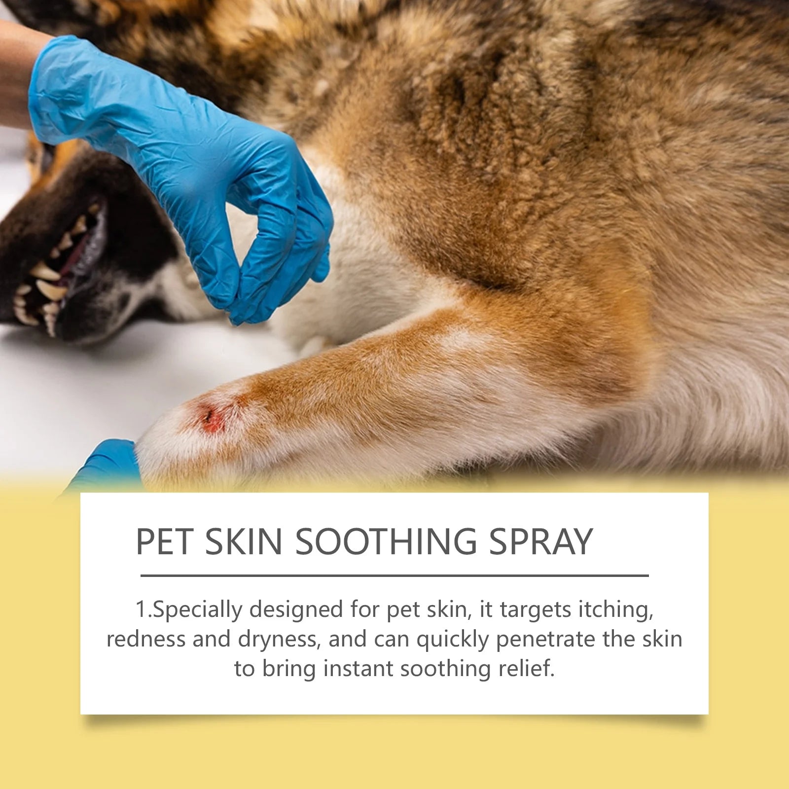 Pet Skin Care Spray – Itch Relief & Flea Control for Dogs & Cats