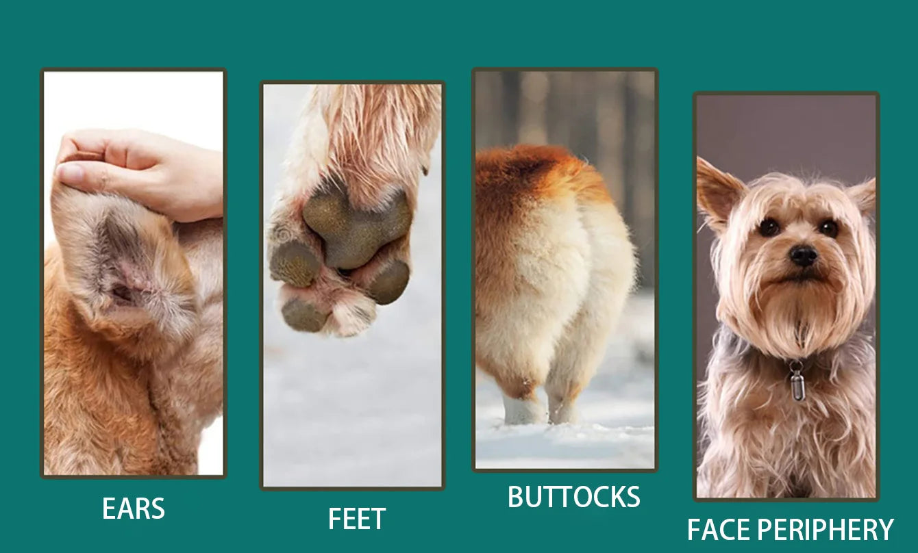 Professional Silent USB Dog Clippers