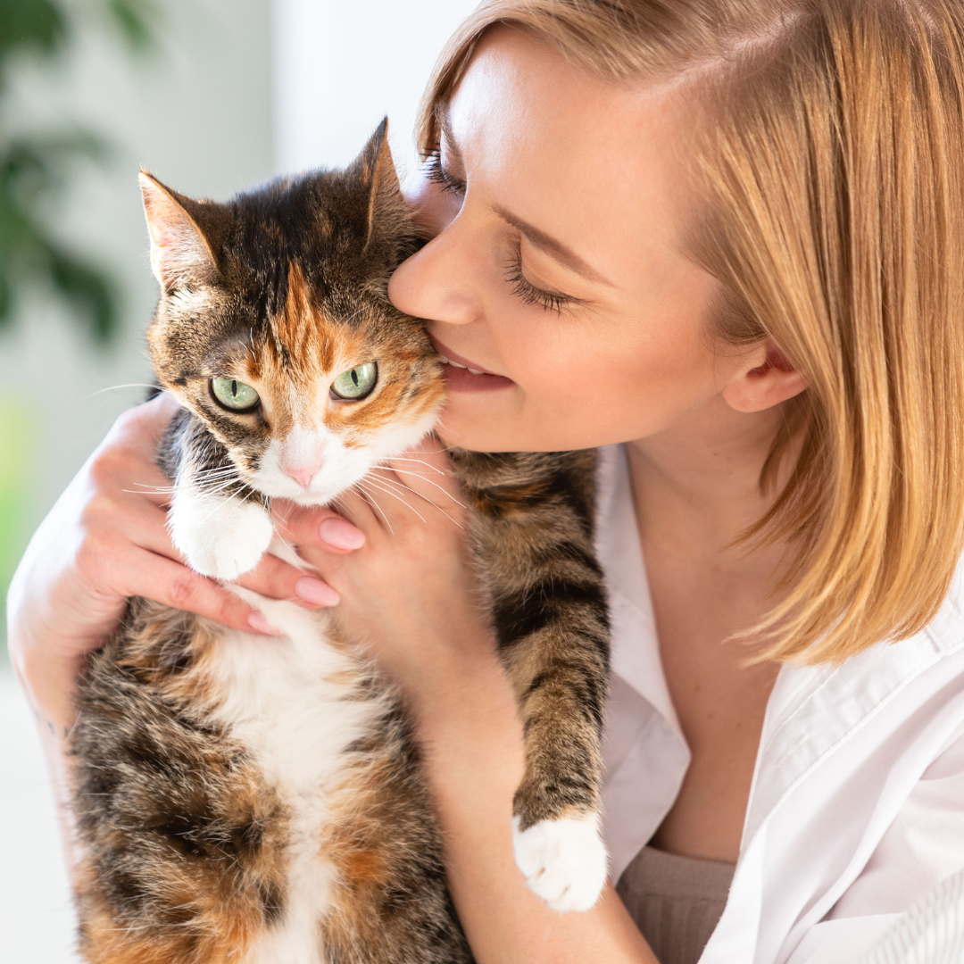 Ultimate Pet Care Collection